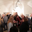 Galerie u Zlat�ho kohouta, spole�n� v�stava